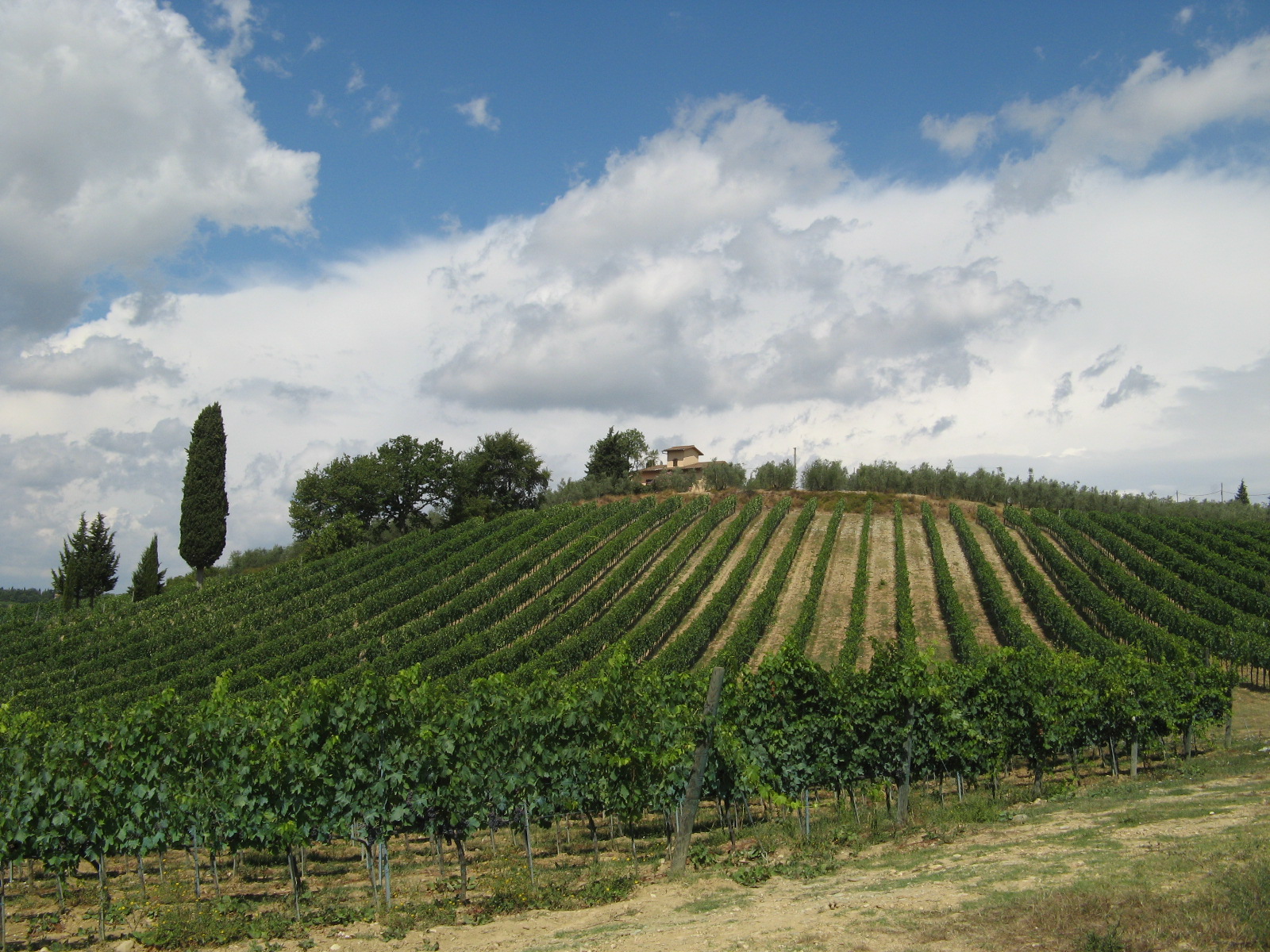 Tour of Tuscany