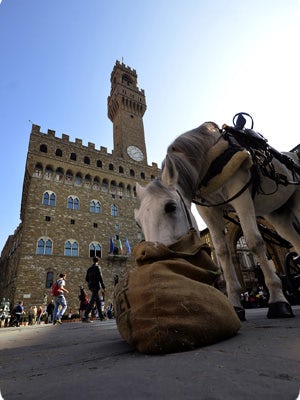 Palazzo Vecchio Palazzo Vecchio