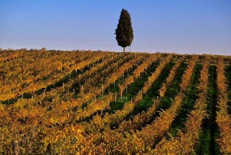 tuscany italy 2018 tourist travel guide to holidays in tuscany