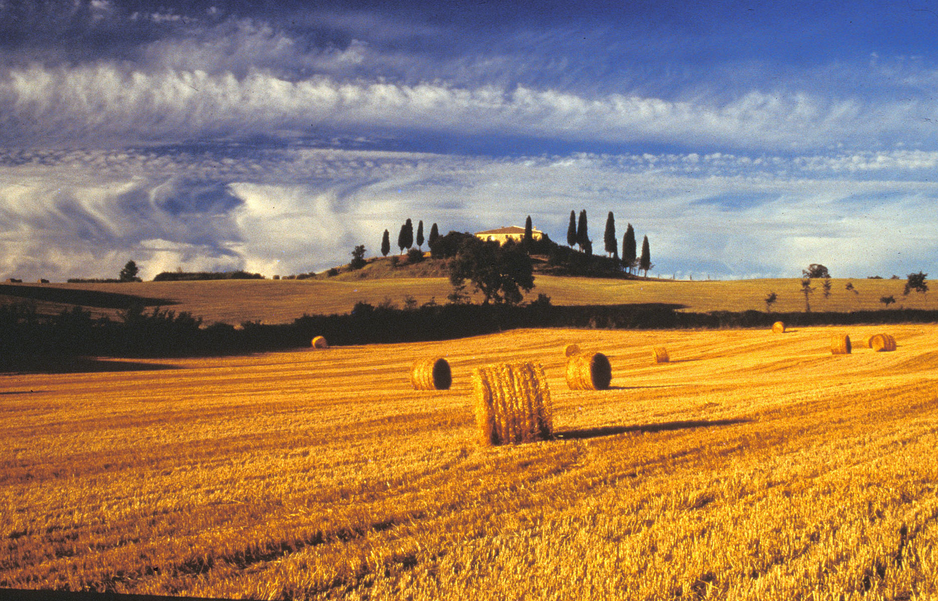 Tuscany Italy Tours