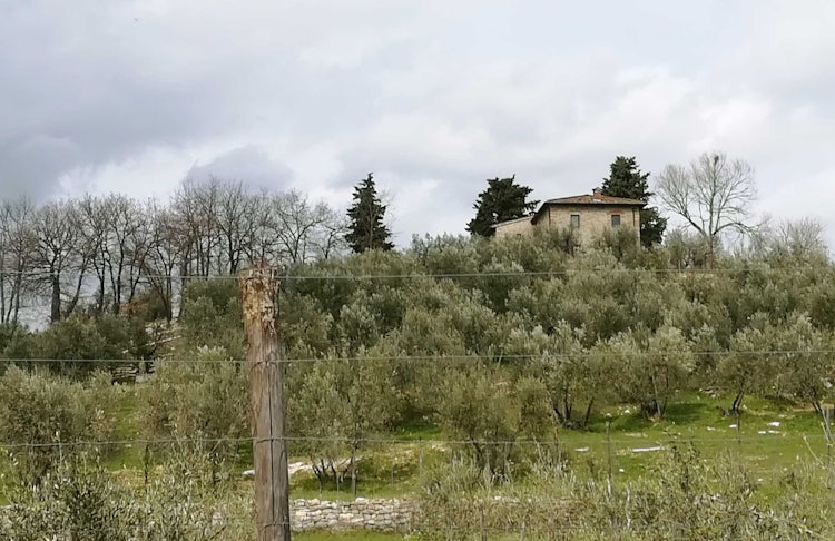 April afternoon, as the clouds roll in at Agriturismo Vicolabate